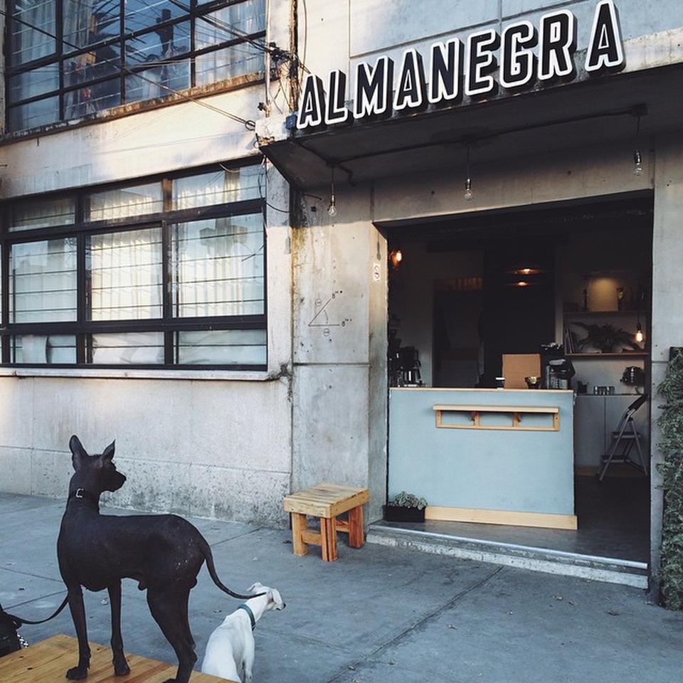 alma-negra