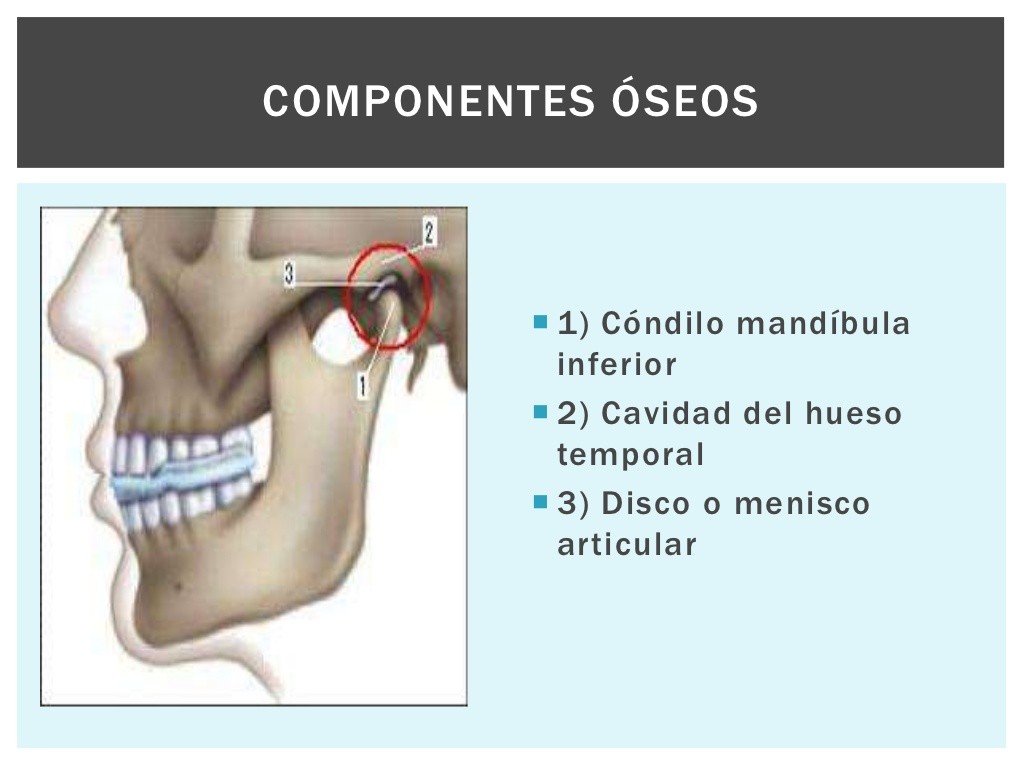 imagen6