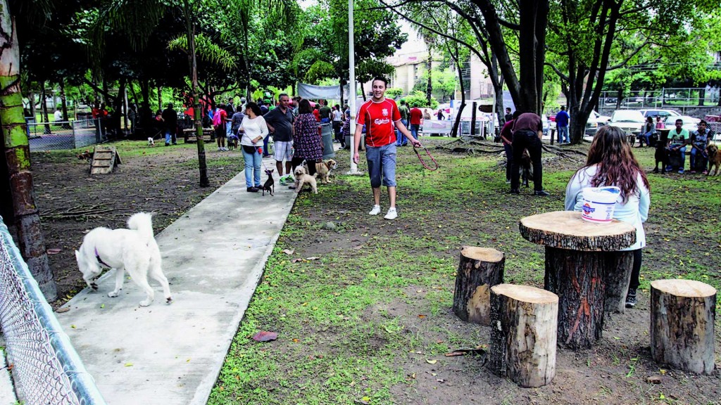 parque hundido perros