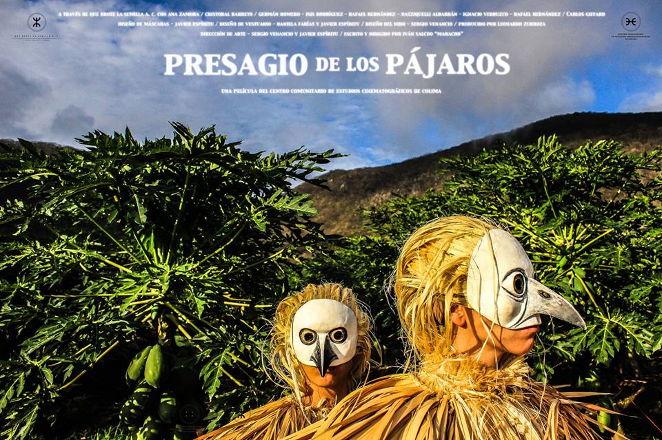 presagio de los pajaros