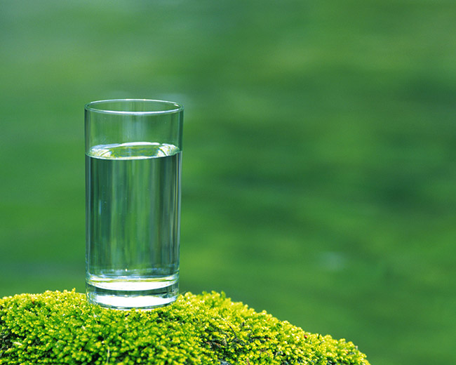 glass-water-on-moss-food-1-screensaver