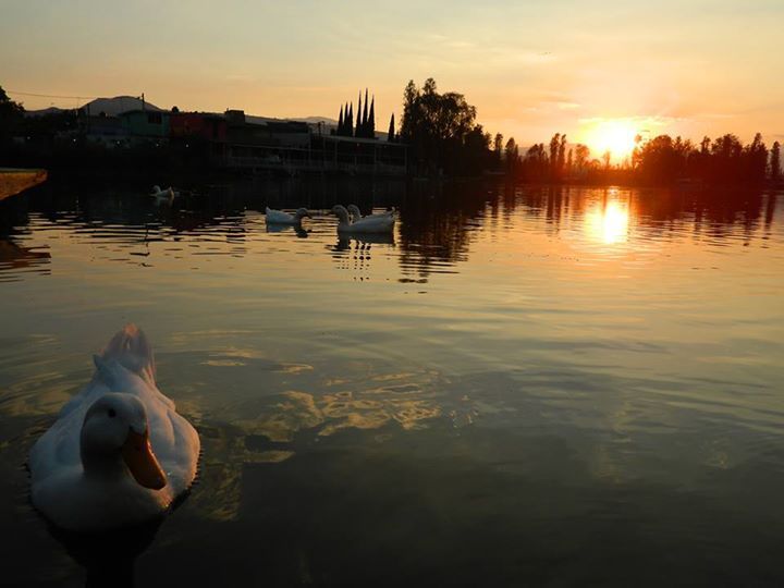 Lago de los Reyes Aztecas