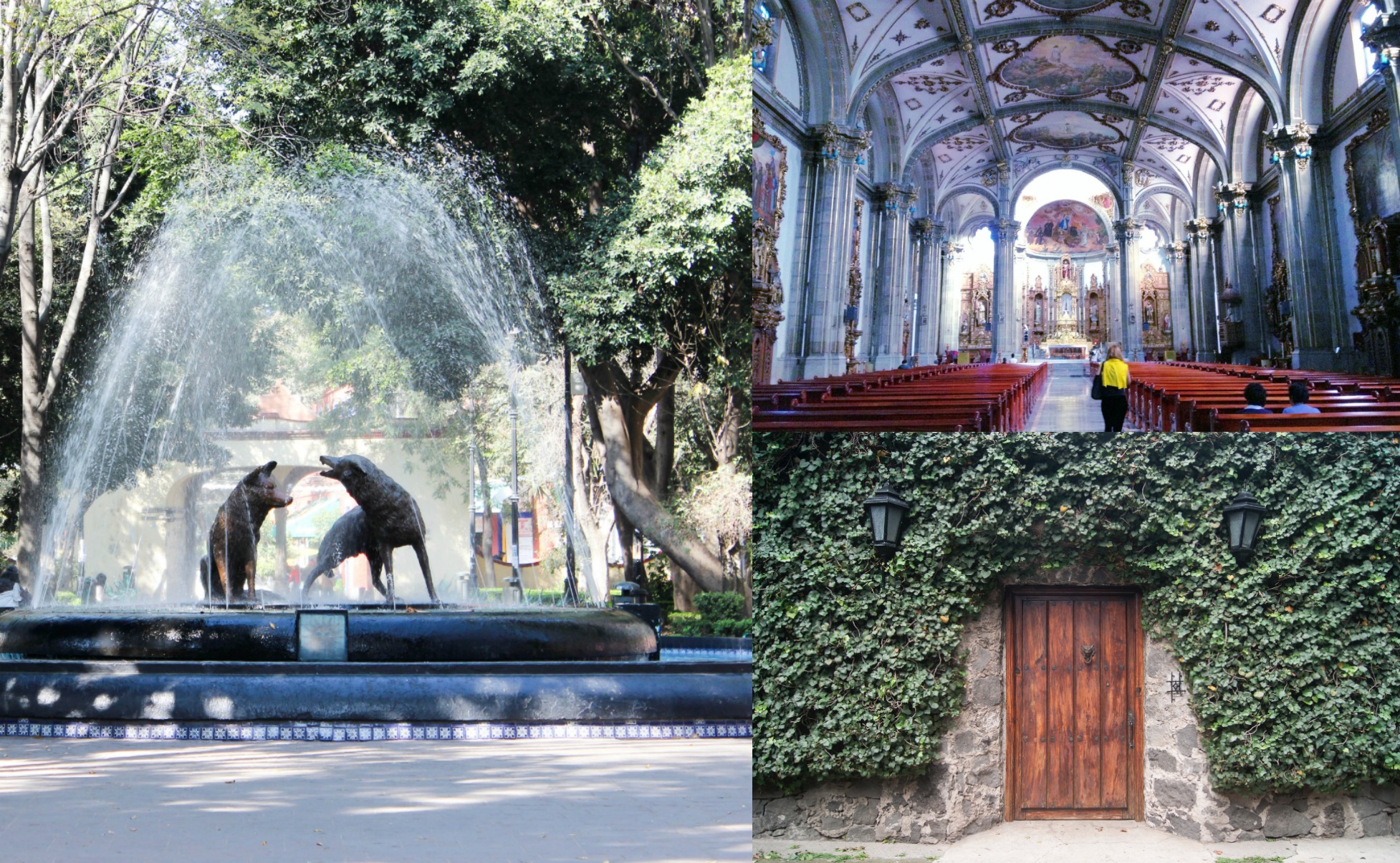 coyoacan ciudad de mexico MXCity