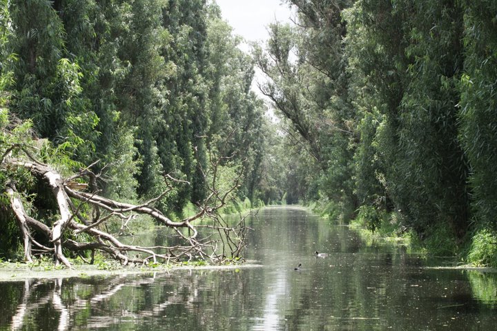 lugares alternativos imprescindibles lagunas tlahuac