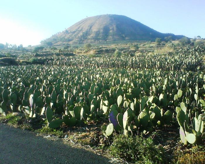 volcan Teuhtli milpa alta