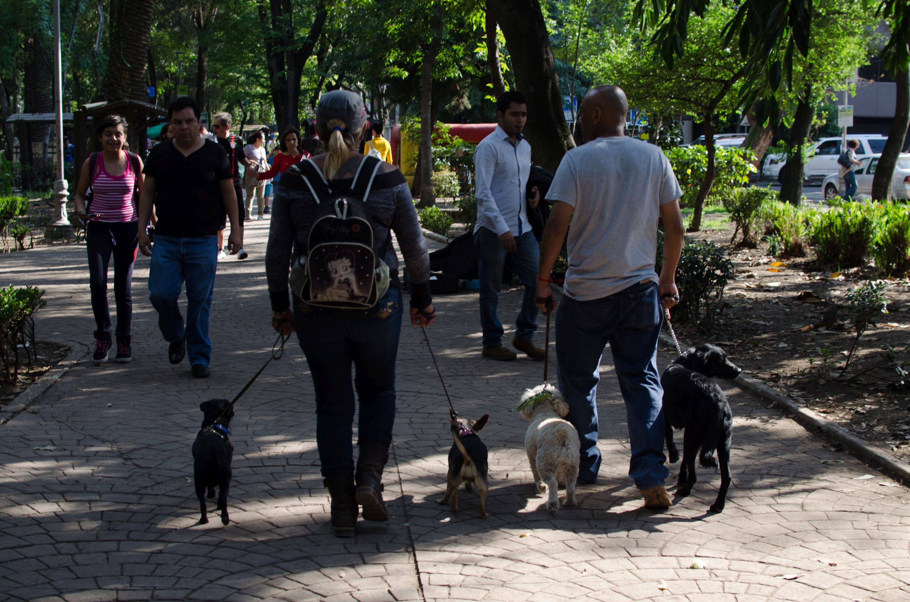 parques caninos