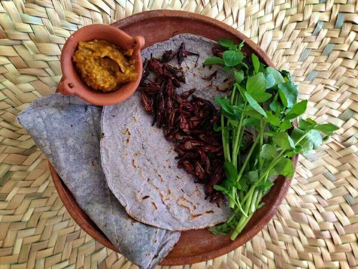 chapulines, gastronomia mexicana, restaurantes mexicanos