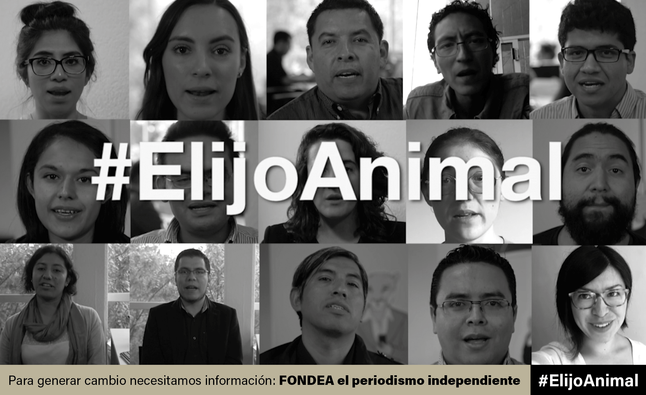 elijoanimal