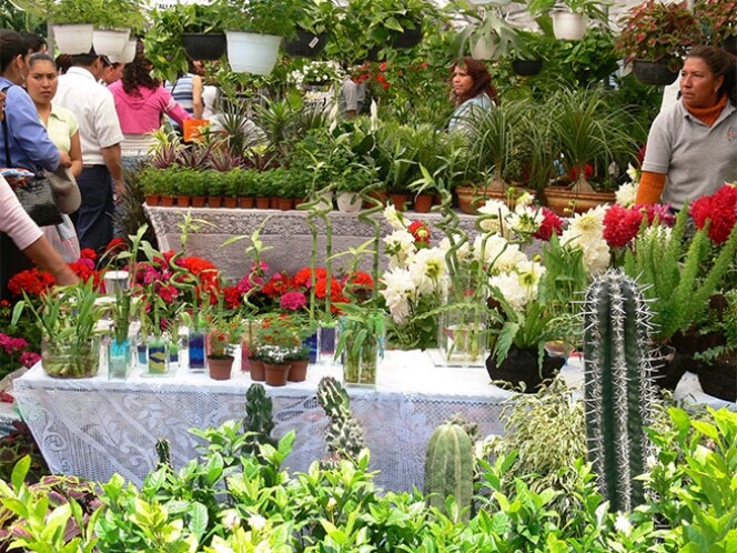 feria de las flores