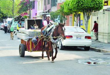 fierro viejo que vendan