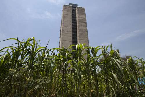 huerto tlatelolco-