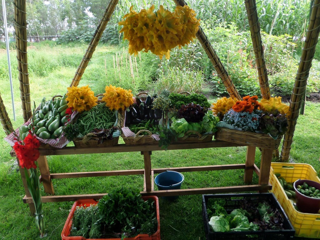 verduras libres de agroquimicos