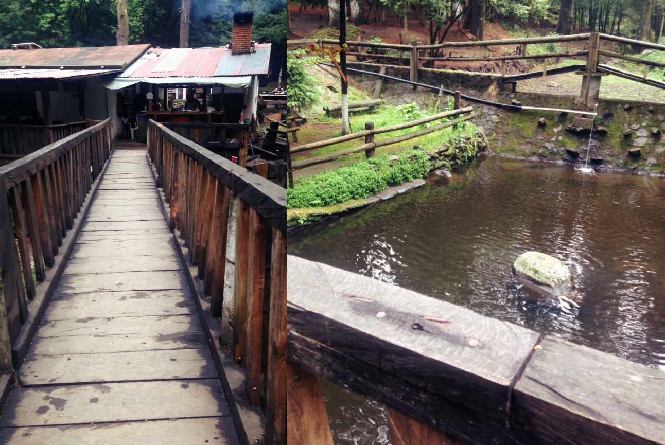 san nicolas ajusco pesca