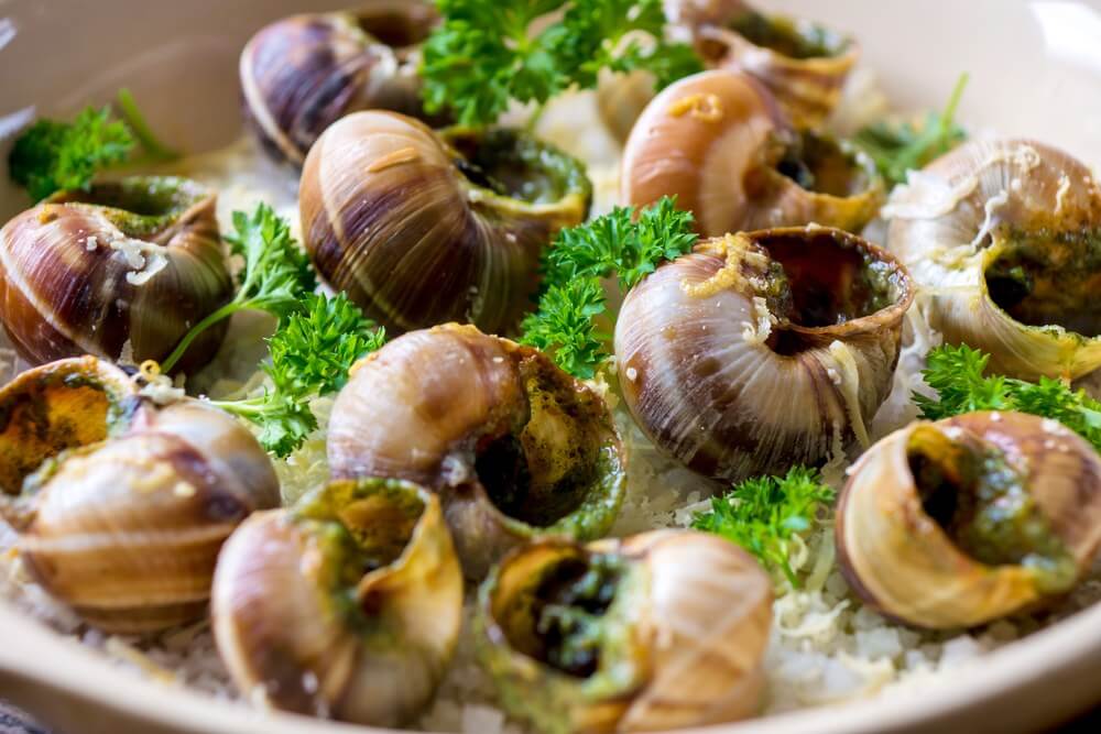 escargots-2