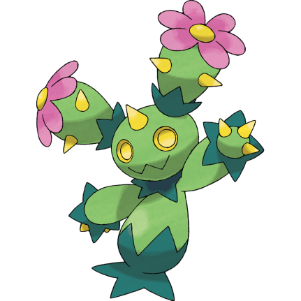 maractus