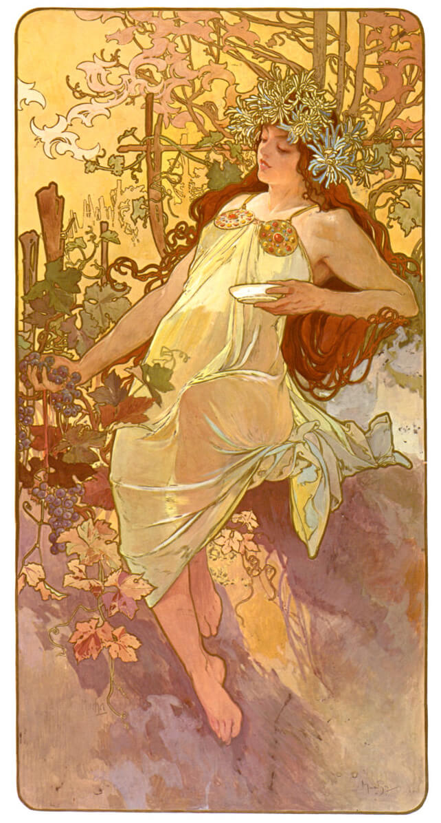 mucha