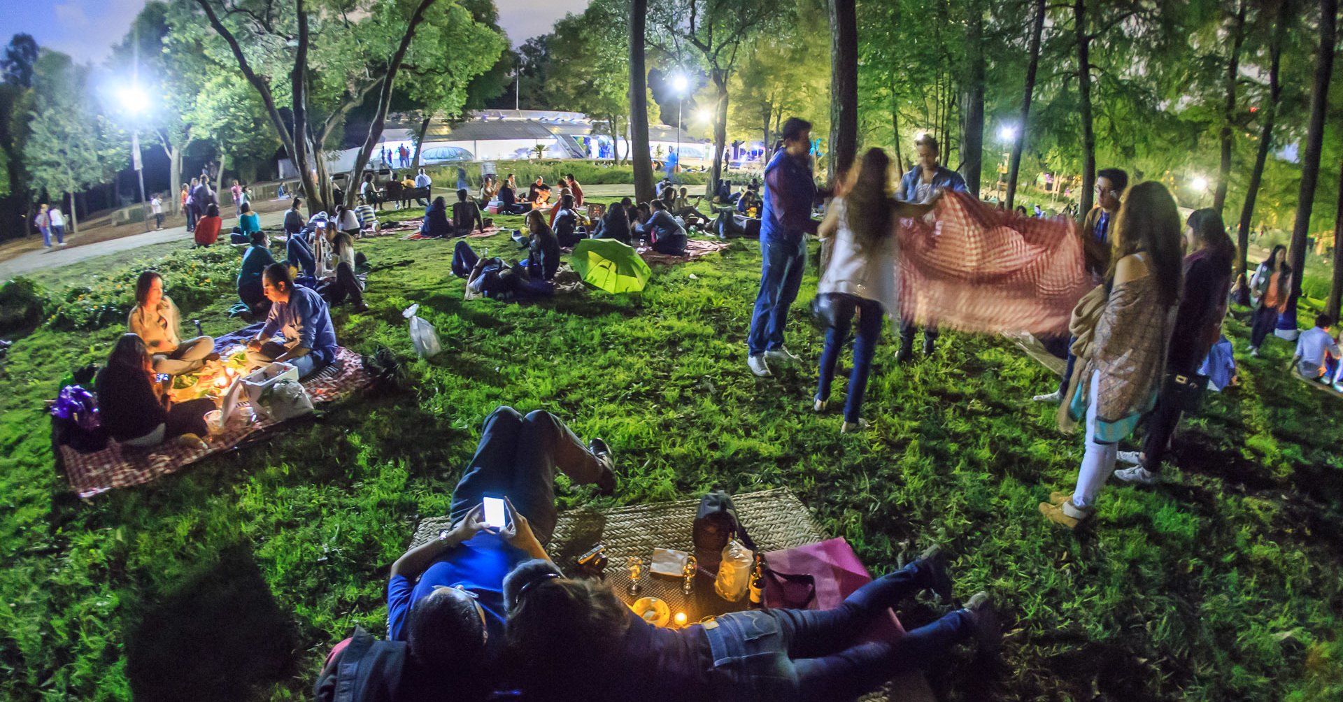 picnic-nocturno