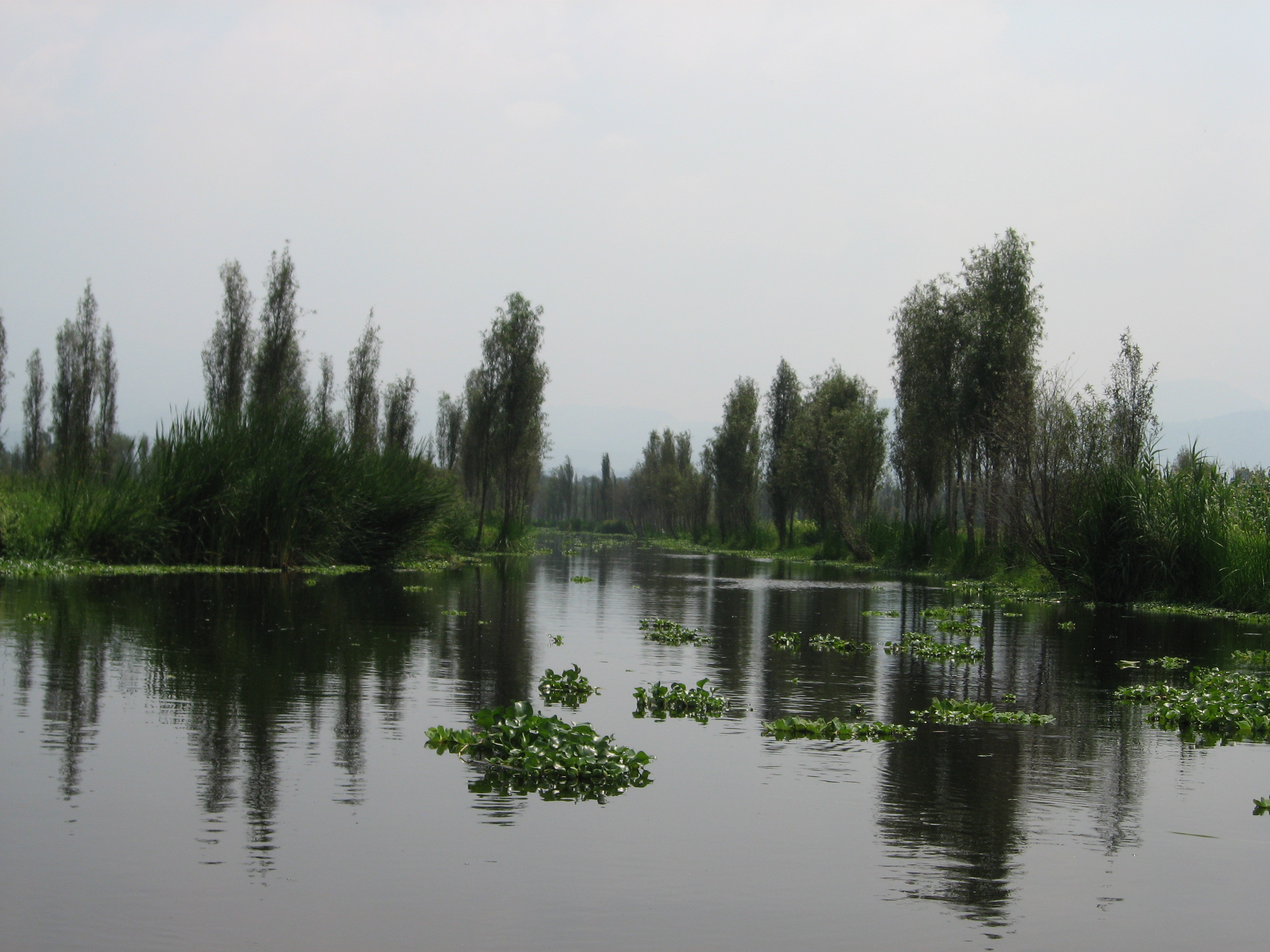 chinampas_xochimilco