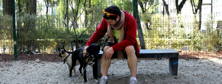 parque-pushkin-perros