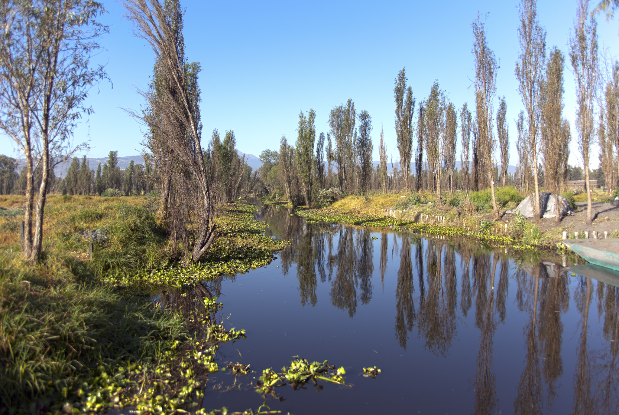 salvemos xochimilco