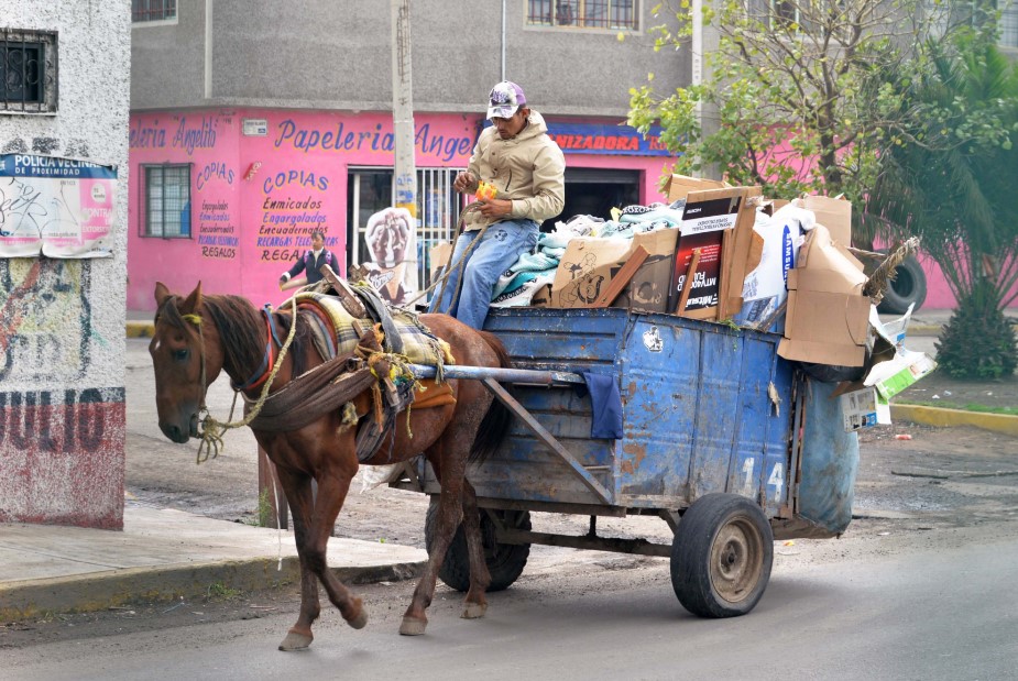 basura