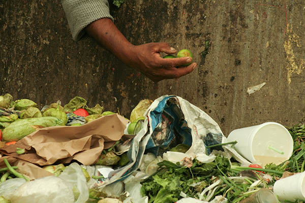 MÉXICO, D.F., 11JUNIO2009.- En la Central de Abastos, una de las más grandes en América Latina, miles de personas asisten a comprar alimentos ya sea para su consumo o la venta al menudeo. Afuera en los contenedores se desechan vegetales, frutas, legumbres que ya están algo maltrechos lo que es apovechado por muchas personas que urgan en estos para encontrar lo que aun es comestible, este tipo de acciones sirve para la alimentación de sus familias.   FOTO: SARA ESCOBAR/CUARTOSCURO.COM