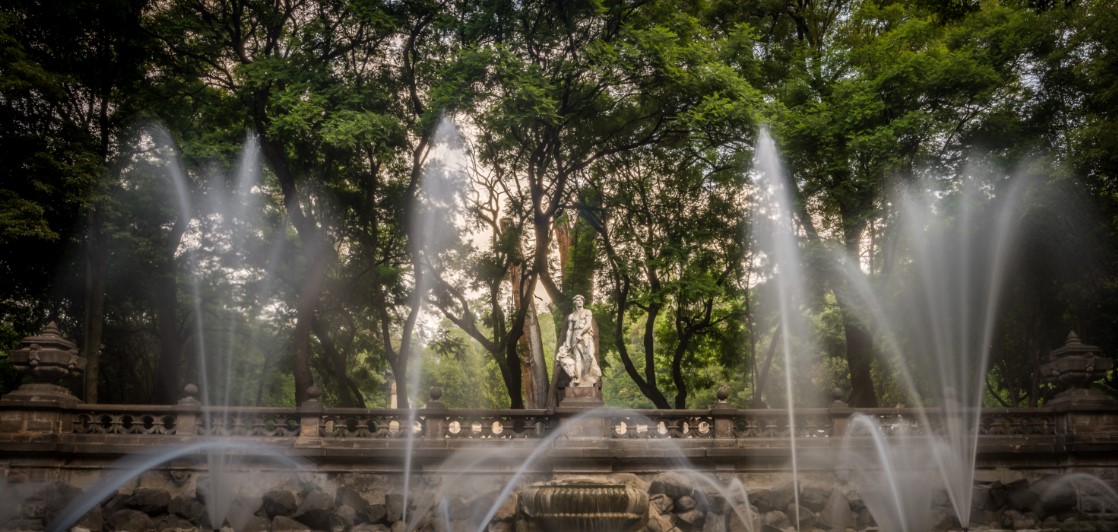 bosque de chapultepec