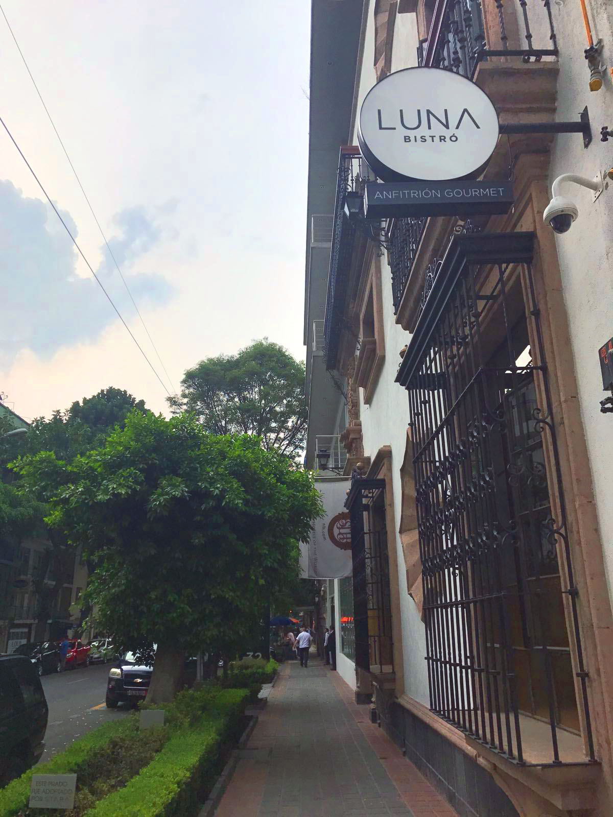 luna bistro