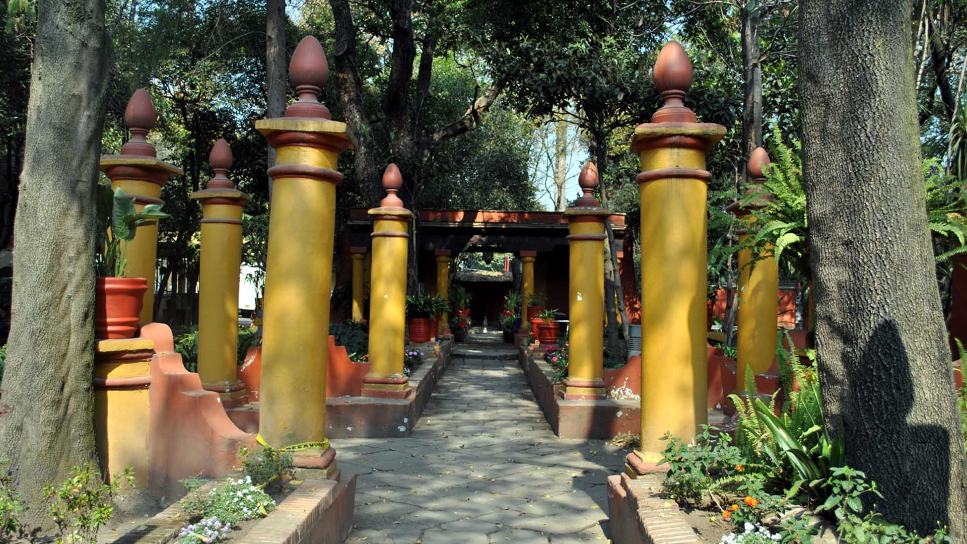 coyoacan 