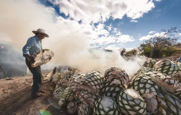 mezcal 