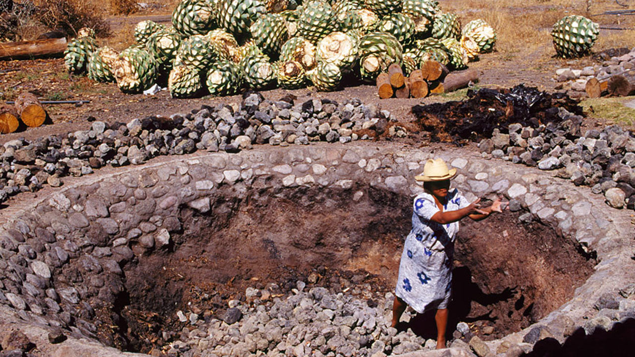 mezcal 