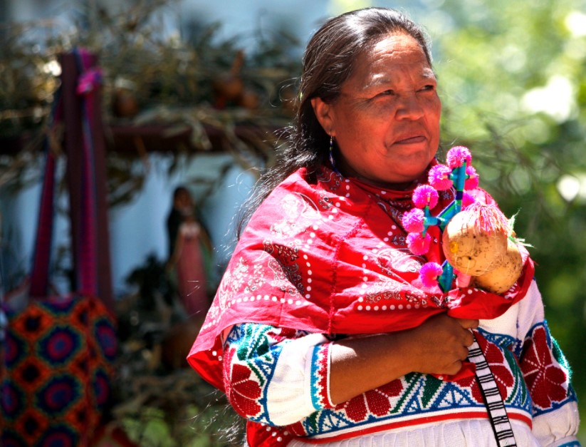 fiesta de las culturas indigenas