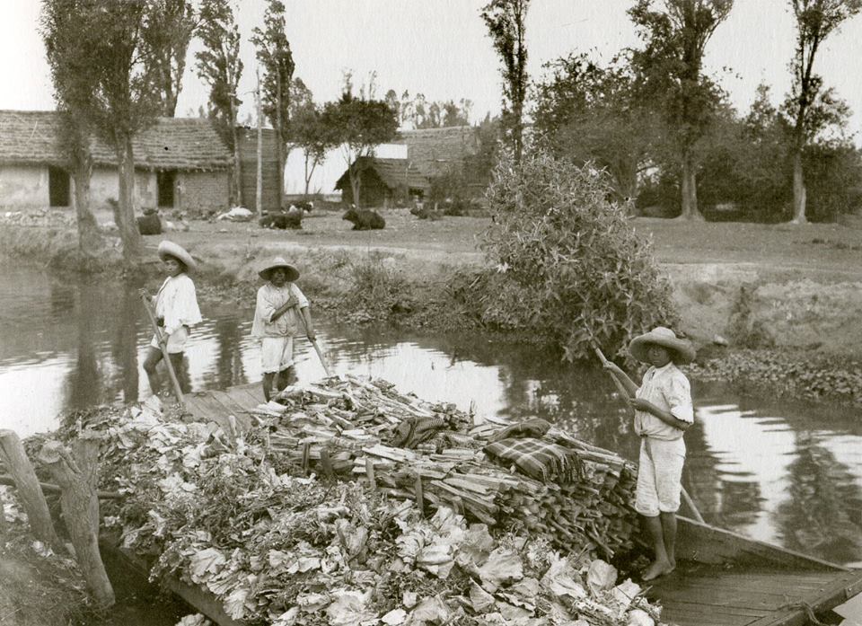 xochimilco