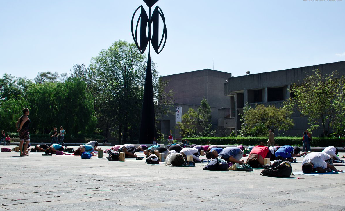 yoga 