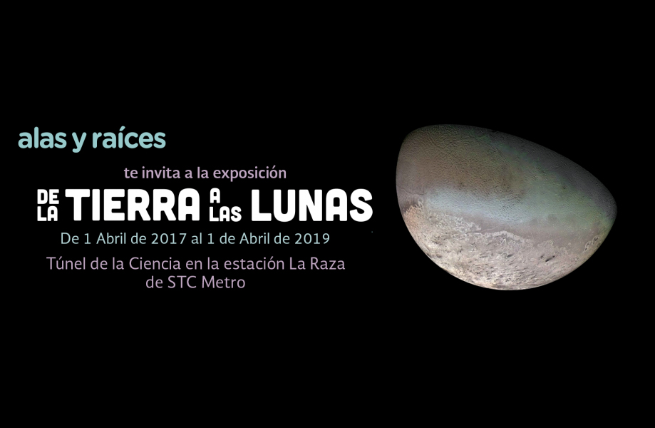 Lunas 