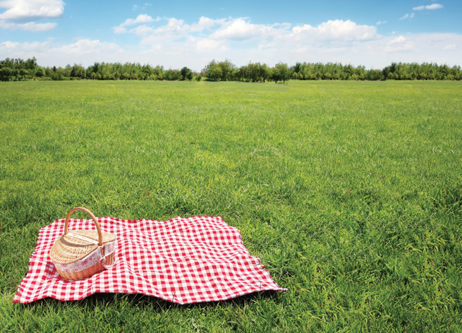 picnic