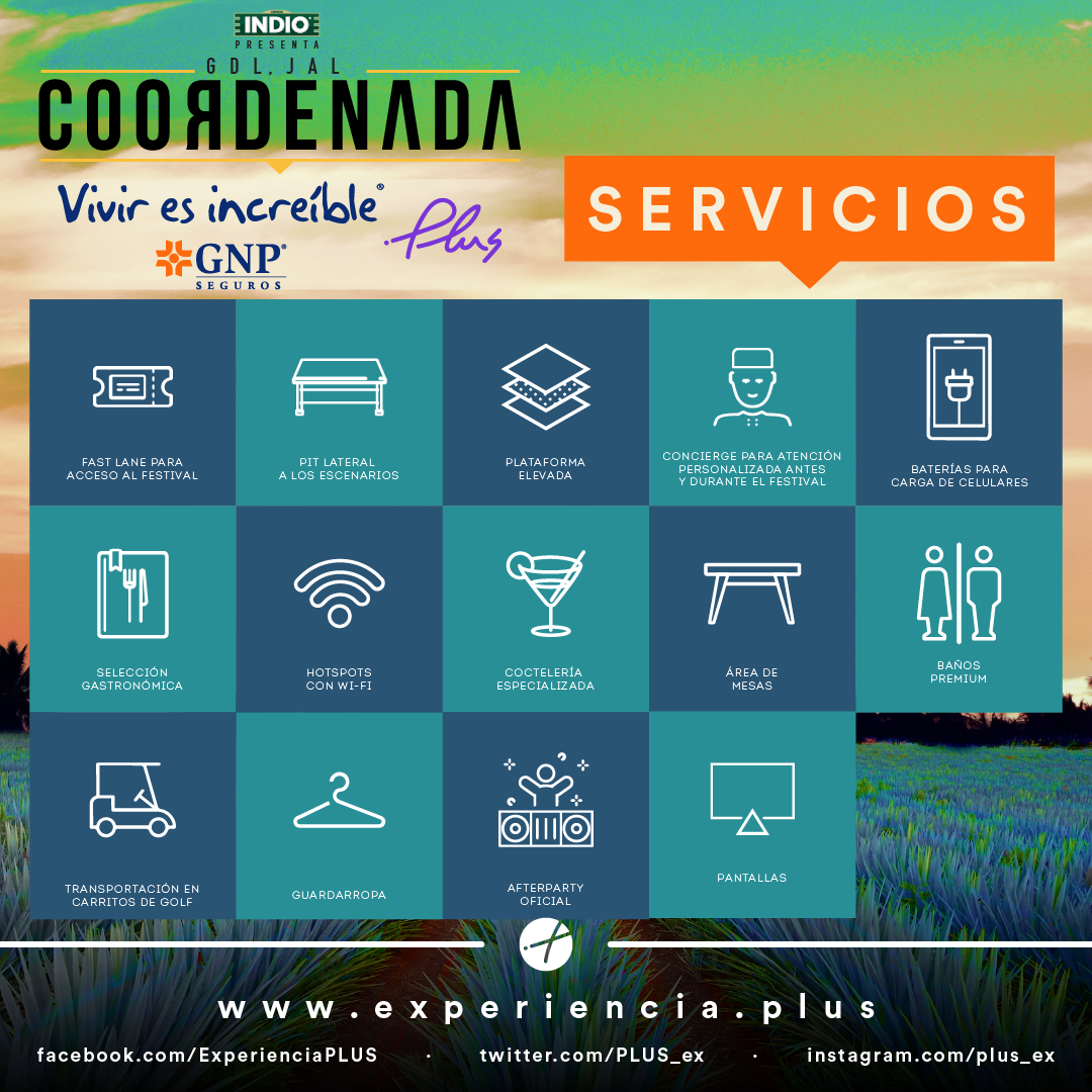 SERVICIOS COORDENADA