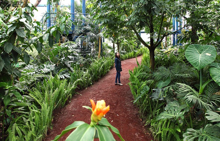 parque bicentenario