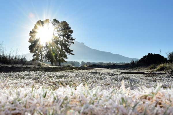 nieve 