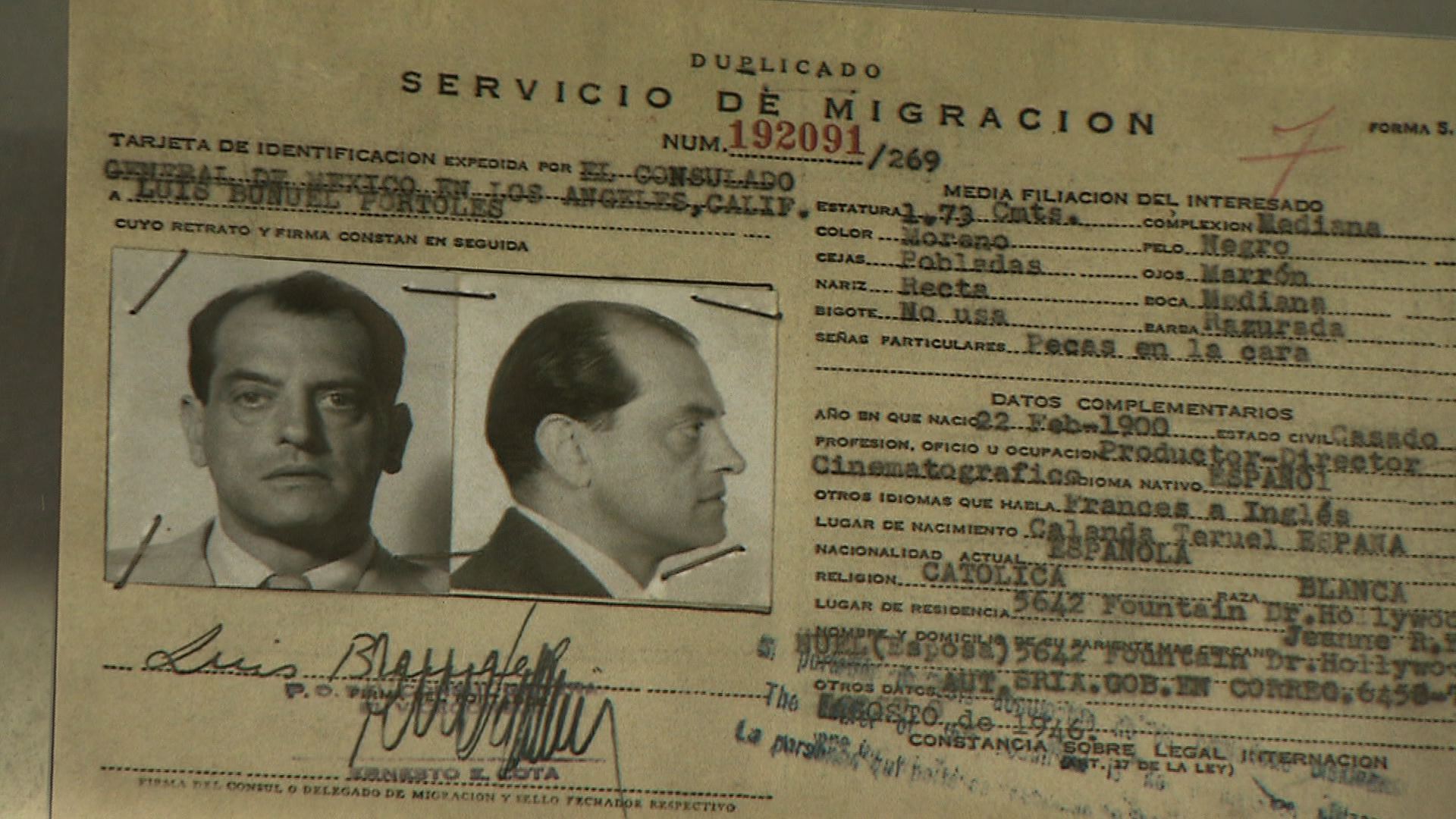 buñuel 