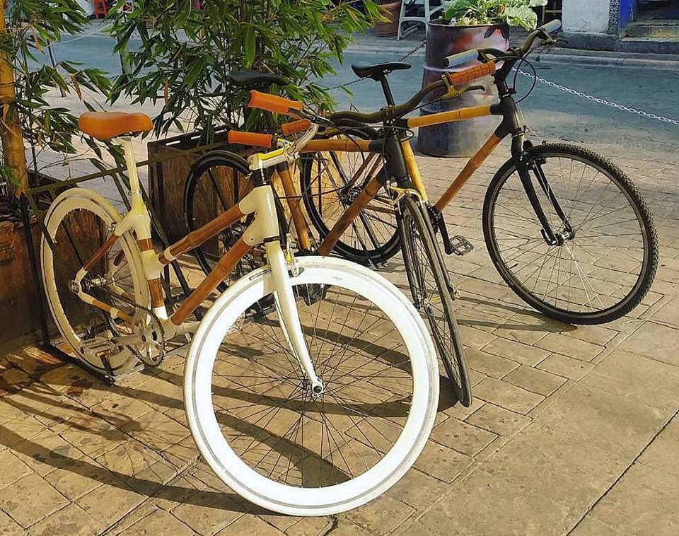 bamboocycles