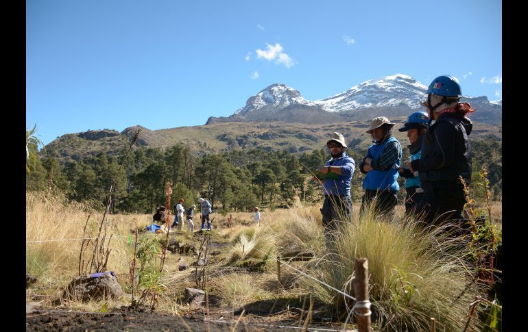 excavaciones 2