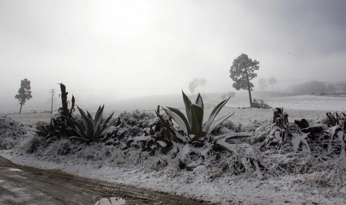 nieve