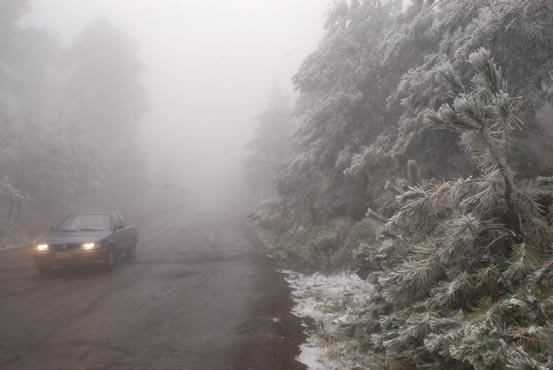 ajusco 