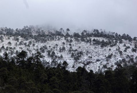 Ajusco 4