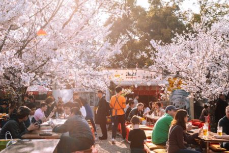 Haru Matsuri 2025, el gran festival de la primavera japonesa en CDMX