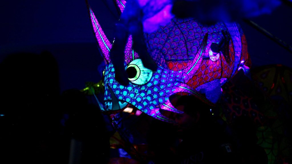 alebrijes-iluminados