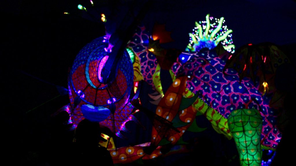 alebrijes-iluminados