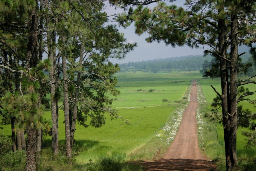 comarca-minera