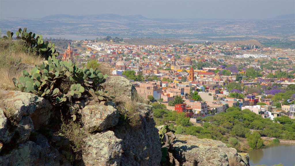 charco-del-ingenio